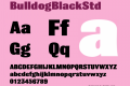 BulldogBlackStd