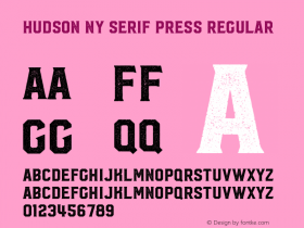 Hudson NY Serif Press