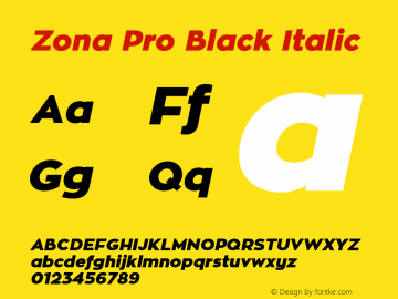 Zona Pro Black