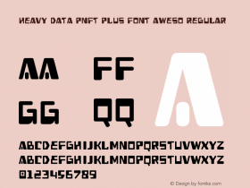 Heavy Data PNFT Plus Font Aweso