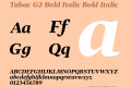 Tabac G2 Bold Italic