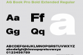 AG Book Pro Bold Extended