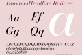 EssonnesHeadline-Italic