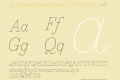 EssonnesHeadline-ThinItalic