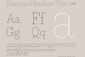 EssonnesHeadline-Thin