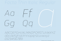 Facto Thin Italic