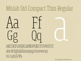 Mislab Std Compact Thin