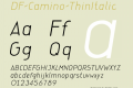 DF-Camino-ThinItalic