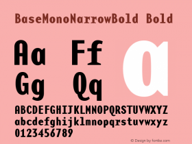 BaseMonoNarrowBold