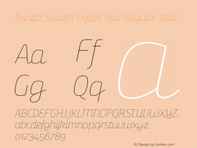 Bunita Swash Expert Hair