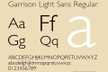 Garrison Light Sans