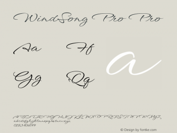 WindSong Pro