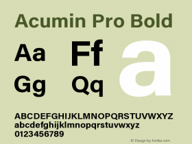 Acumin Pro