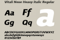 Vitali Neue Heavy italic