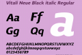 Vitali Neue Black italic