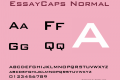 EssayCaps