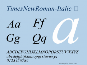 TimesNewRoman-Italic