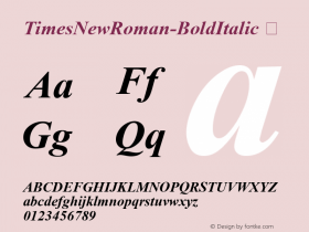 TimesNewRoman-BoldItalic