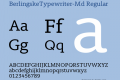 BerlingskeTypewriter-Md
