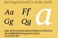 BerlingskeSerifTx-Italic