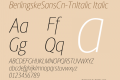 BerlingskeSansCn-TnItalic