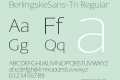 BerlingskeSans-Tn