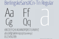 BerlingskeSansXCn-Tn