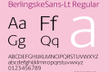 BerlingskeSans-Lt