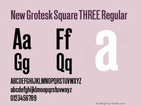 New Grotesk Square THREE