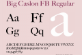 Big Caslon FB