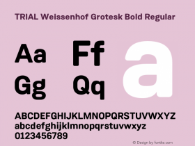 Weissenhof Grotesk Bold