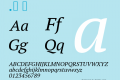 PT Serif Italic