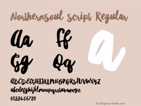 NorthernSoul Script