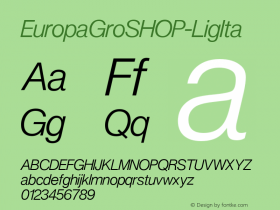 EuropaGroSHOP-LigIta