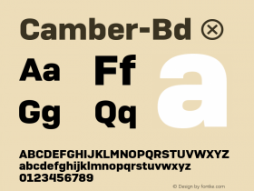 Camber-Bd