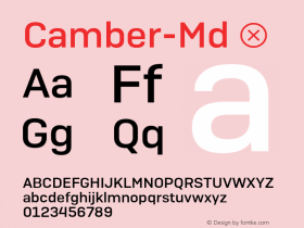 Camber-Md