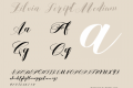 Zilvia Script