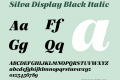 Silva Display Black