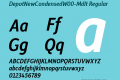 DepotNewCondensed-MdIt