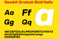 Newbit Grotesk Bold