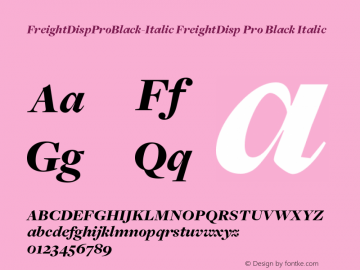 FreightDispProBlack-Italic