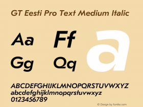 GT Eesti Pro Text Medium