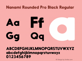 Nanami Rounded Pro Black