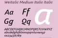 Weitalic Medium Italic