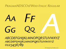 PragmaNDSCOsF-Italic