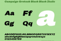 Campaign Grotesk Black