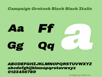 Campaign Grotesk Black