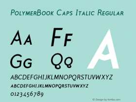 PolymerBook Caps Italic