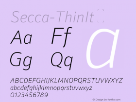 Secca-ThinIt