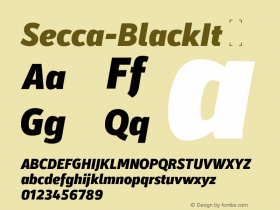 Secca-BlackIt